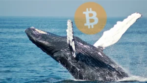 Baleia Bitcoin